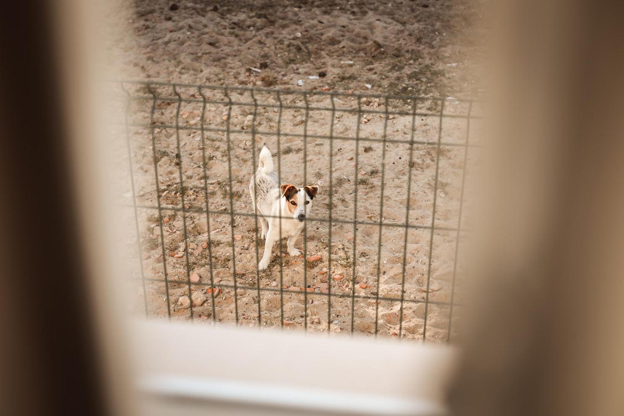 Quinta Das Cacadoras - Animal Lovers Only Palmela Εξωτερικό φωτογραφία