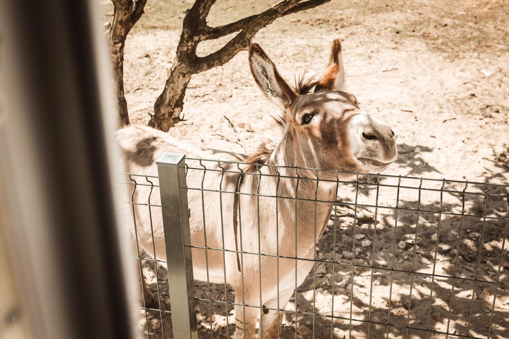 Quinta Das Cacadoras - Animal Lovers Only Palmela Εξωτερικό φωτογραφία